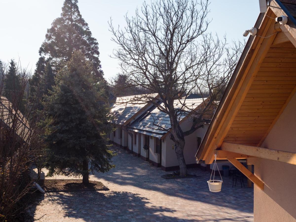 Bed and Breakfast Mamutfenyő Panzió Tata Exterior foto
