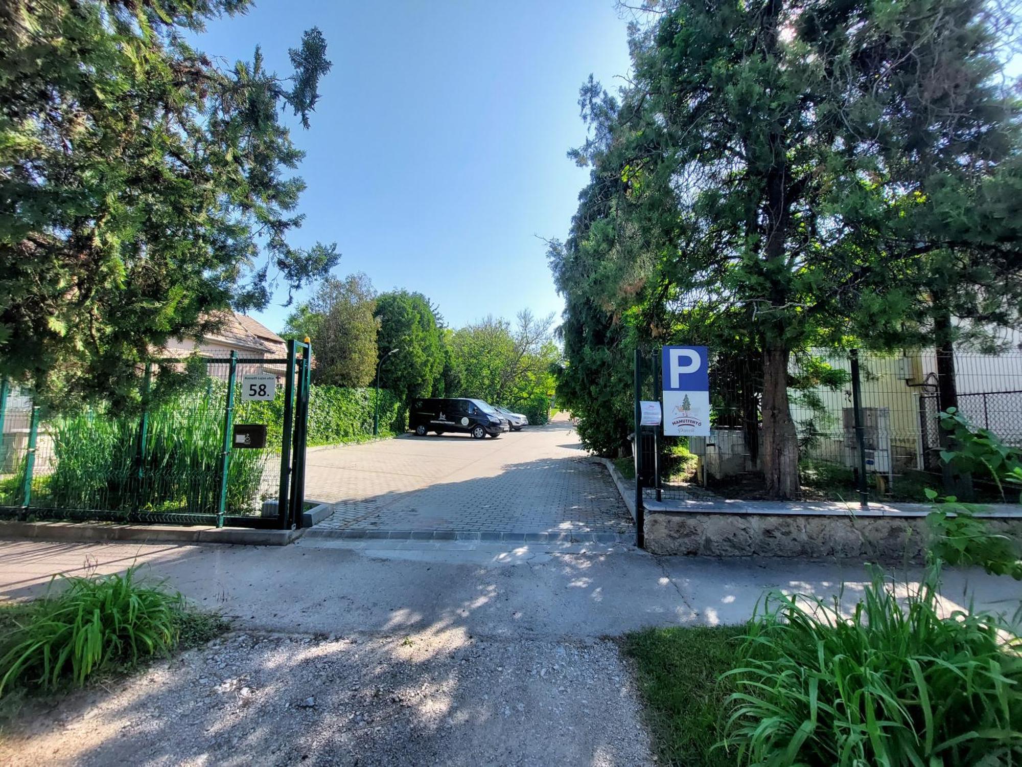 Bed and Breakfast Mamutfenyő Panzió Tata Exterior foto